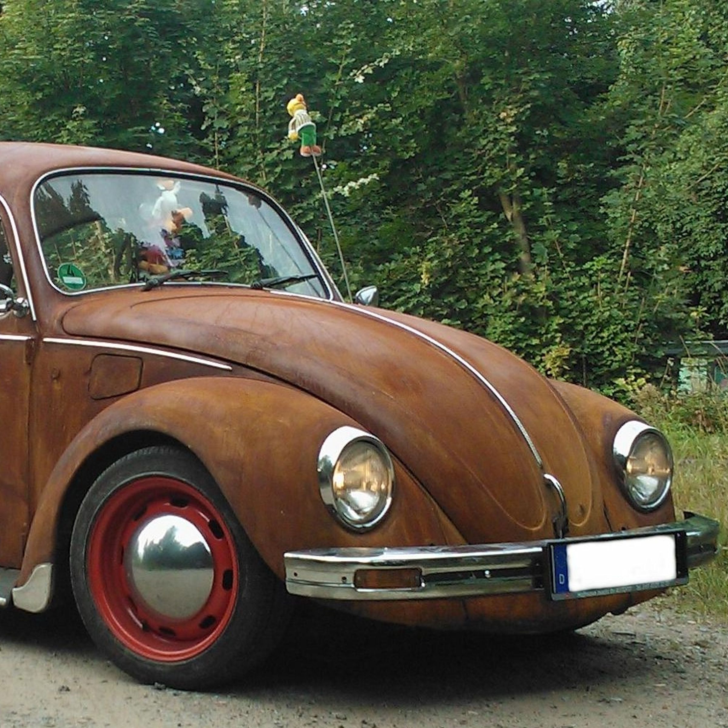 Rostlack Ratlook